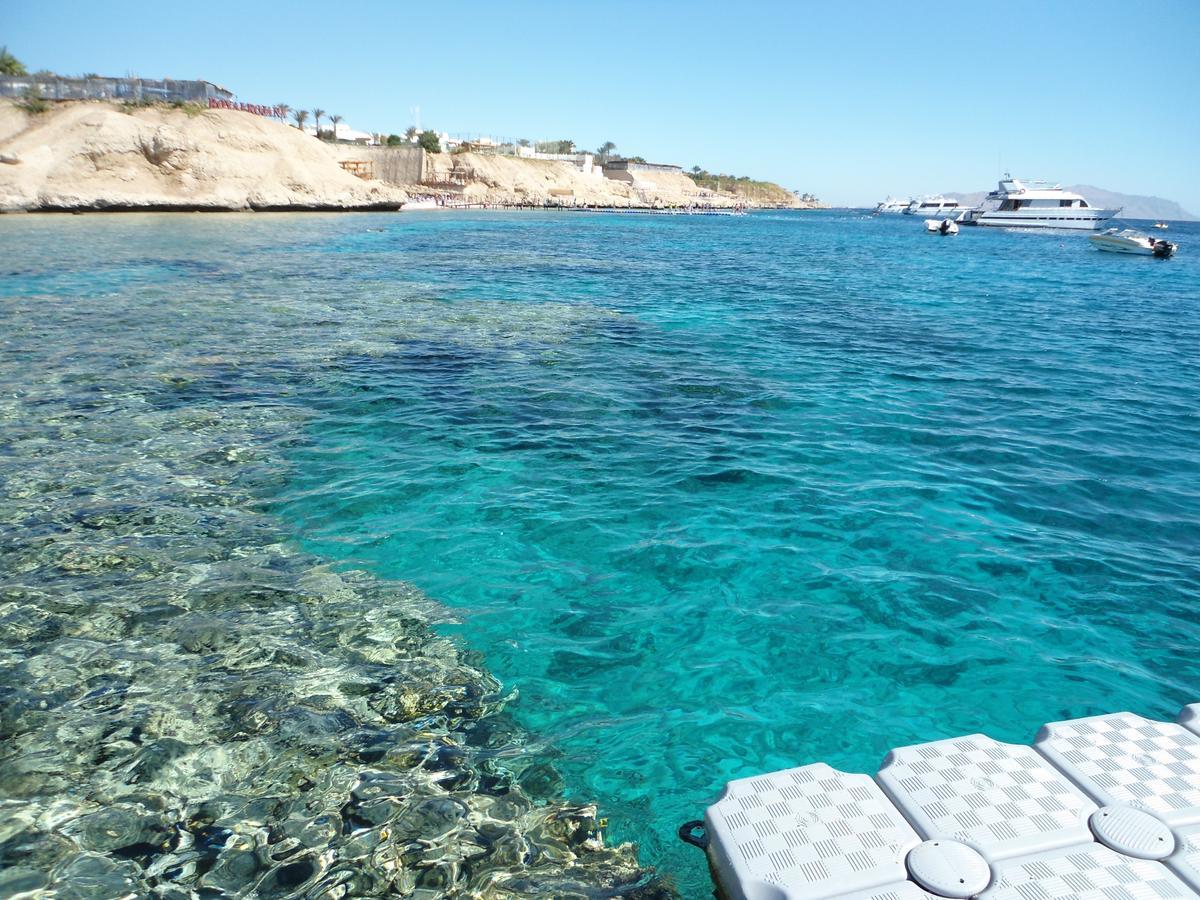Sharks Bay Oasis Apartment Charm el-Cheikh Extérieur photo