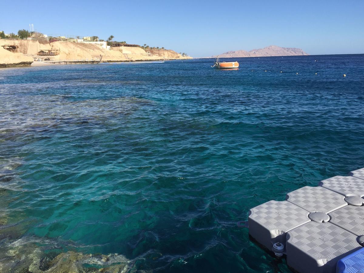 Sharks Bay Oasis Apartment Charm el-Cheikh Extérieur photo