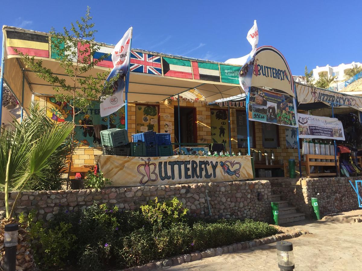 Sharks Bay Oasis Apartment Charm el-Cheikh Extérieur photo