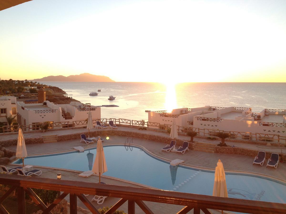 Sharks Bay Oasis Apartment Charm el-Cheikh Extérieur photo