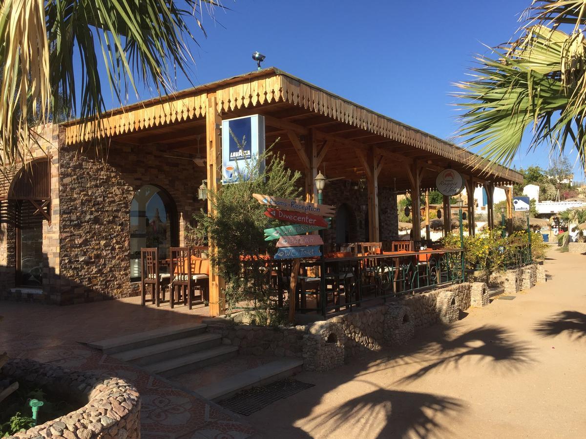 Sharks Bay Oasis Apartment Charm el-Cheikh Extérieur photo